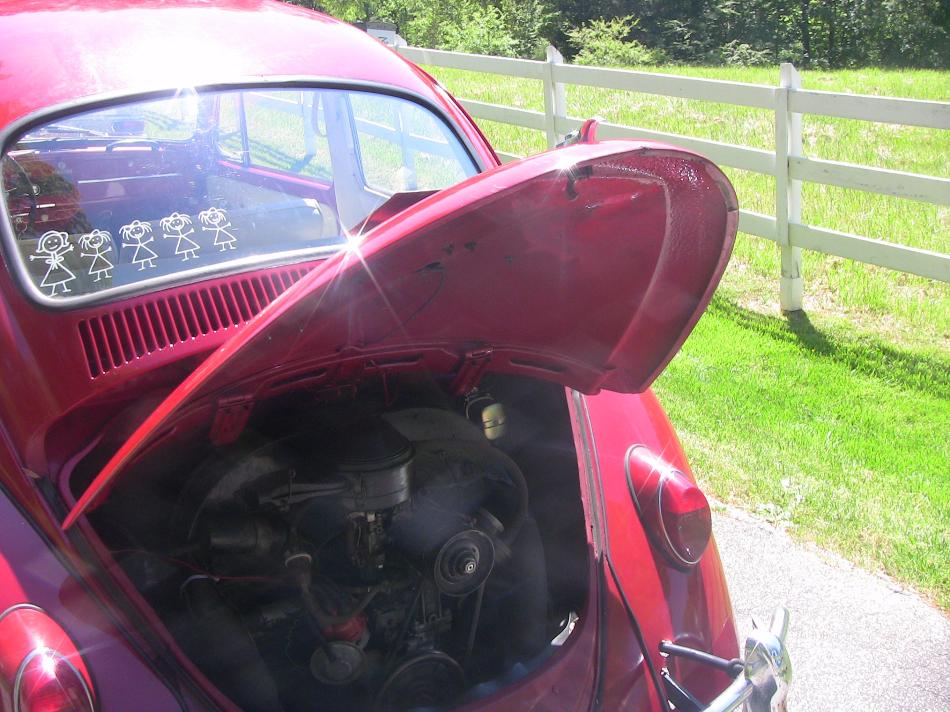 Used 1966 Volkswagen Beetle | St. Petersburg, FL