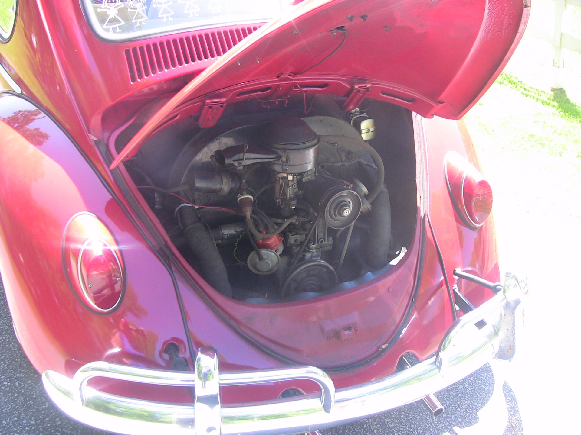 Used 1966 Volkswagen Beetle | St. Petersburg, FL