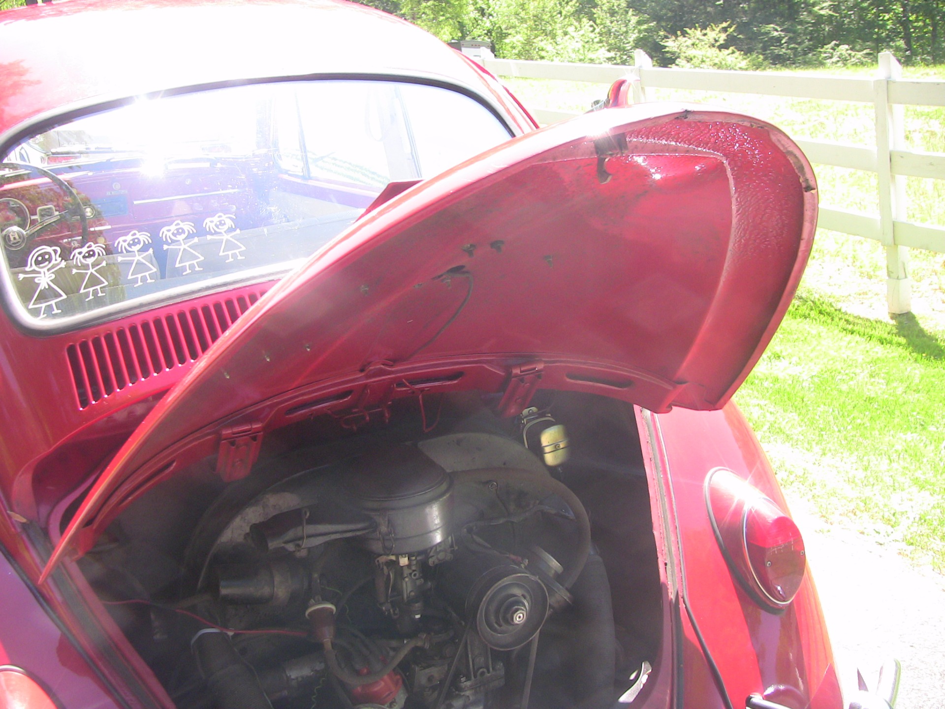 Used 1966 Volkswagen Beetle | St. Petersburg, FL