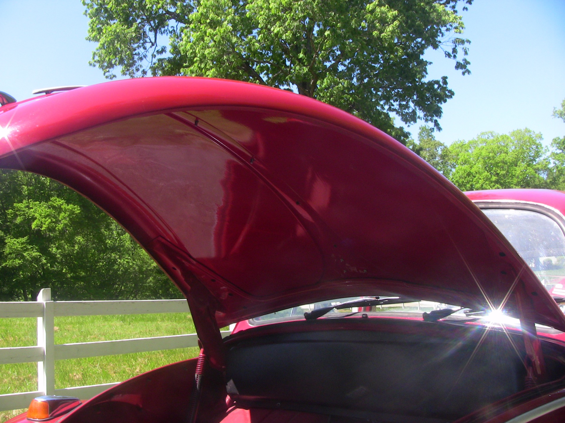 Used 1966 Volkswagen Beetle | St. Petersburg, FL