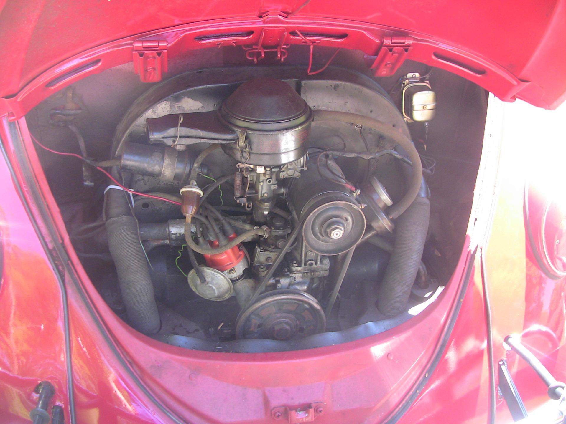 Used 1966 Volkswagen Beetle | St. Petersburg, FL