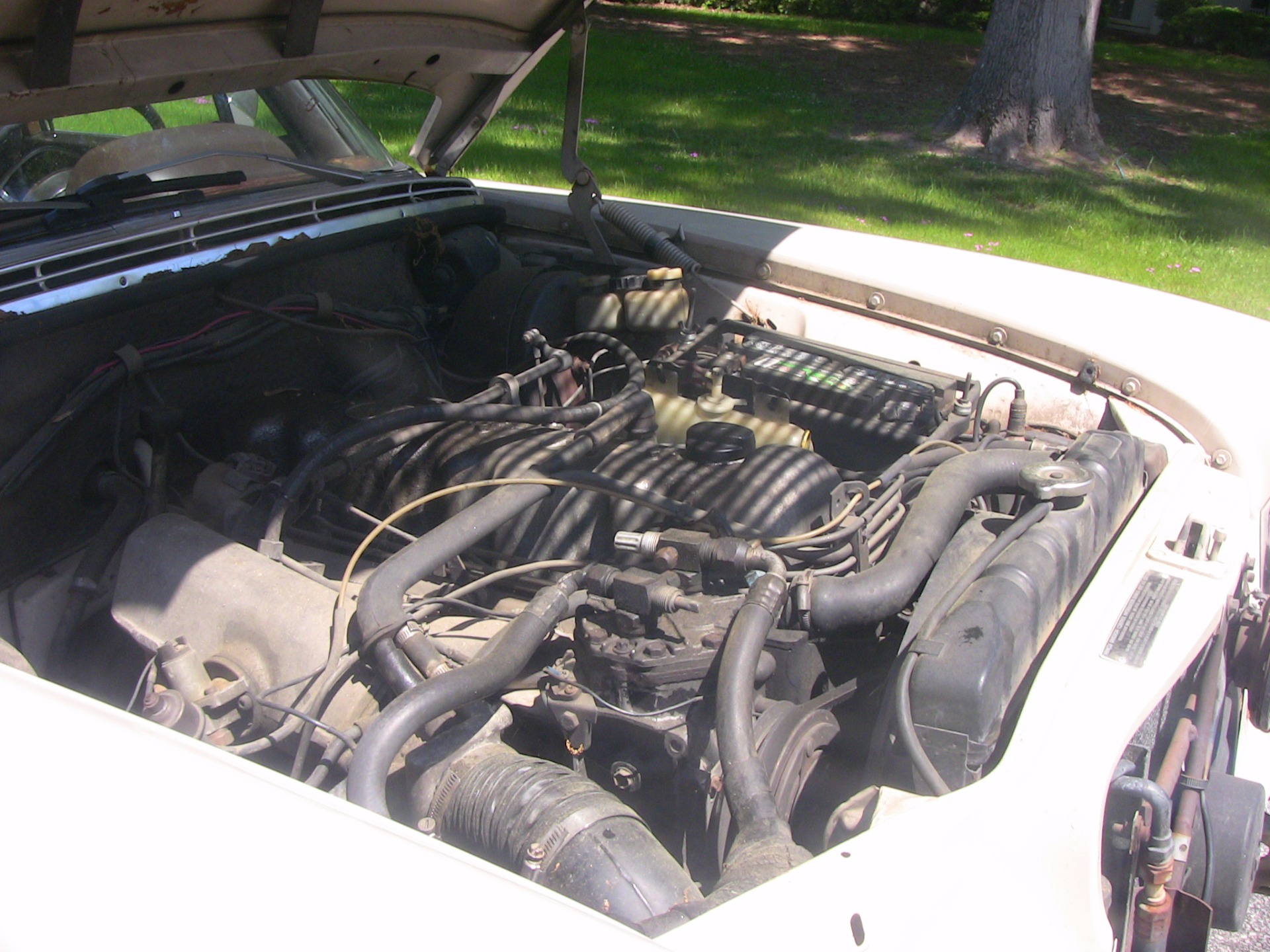 Used 1971 Mercedes-Benz 280SE | St. Petersburg, FL