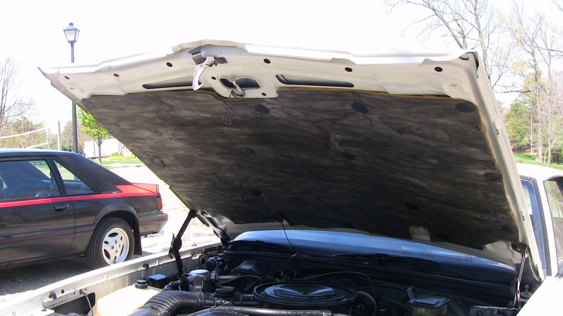 Used 1986 Chevrolet Monte Carlo SS | St. Petersburg, FL