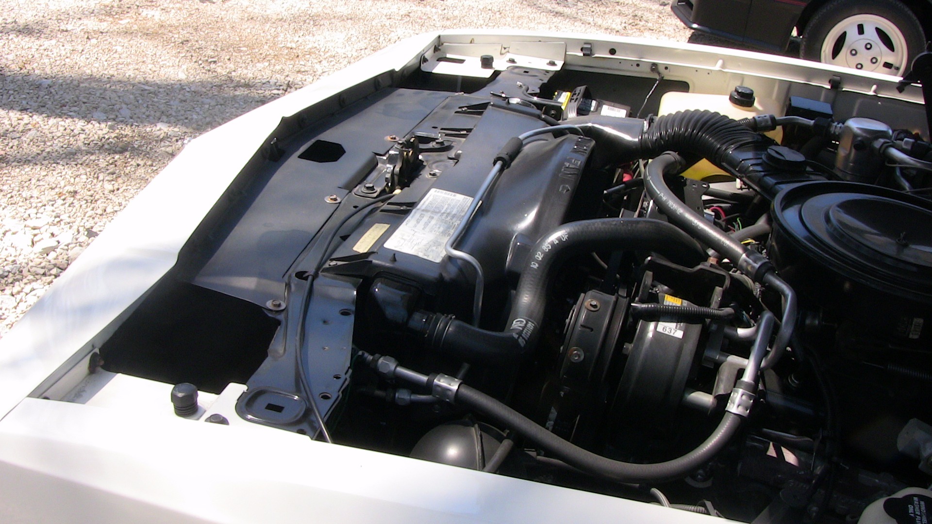 Used 1986 Chevrolet Monte Carlo SS Aero Coupe | St. Petersburg, FL