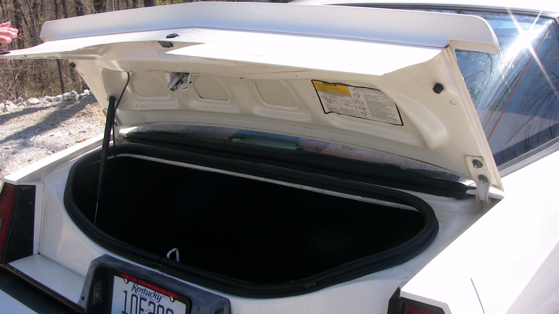 Used 1986 Chevrolet Monte Carlo SS Aero Coupe | St. Petersburg, FL