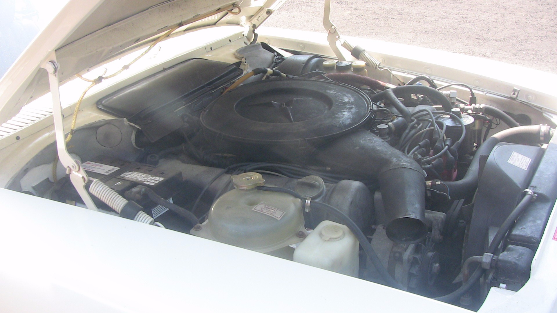 Used 1973 Mercedes-Benz 450 SL | St. Petersburg, FL