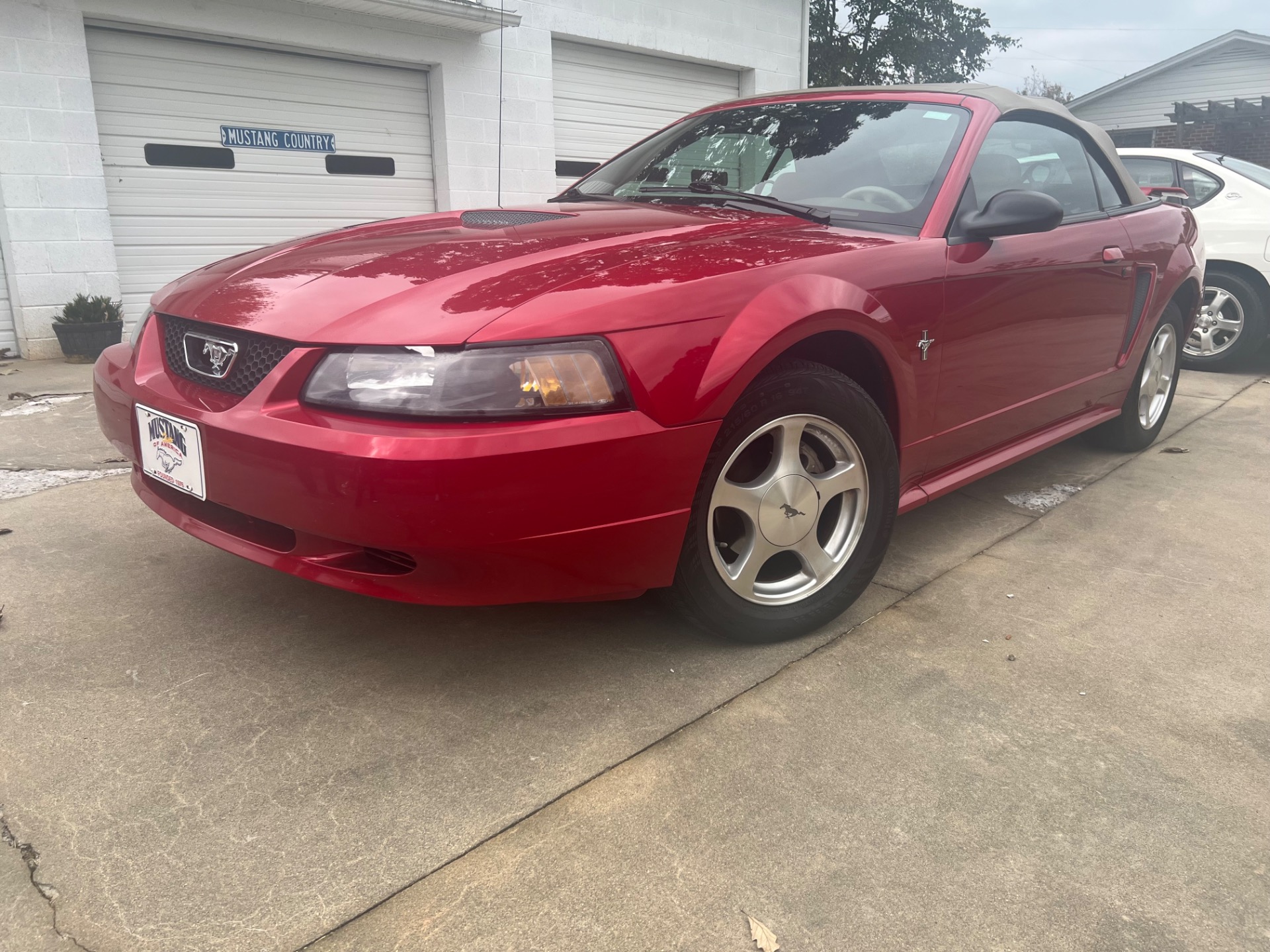 Used 2001 Ford Mustang Convertible