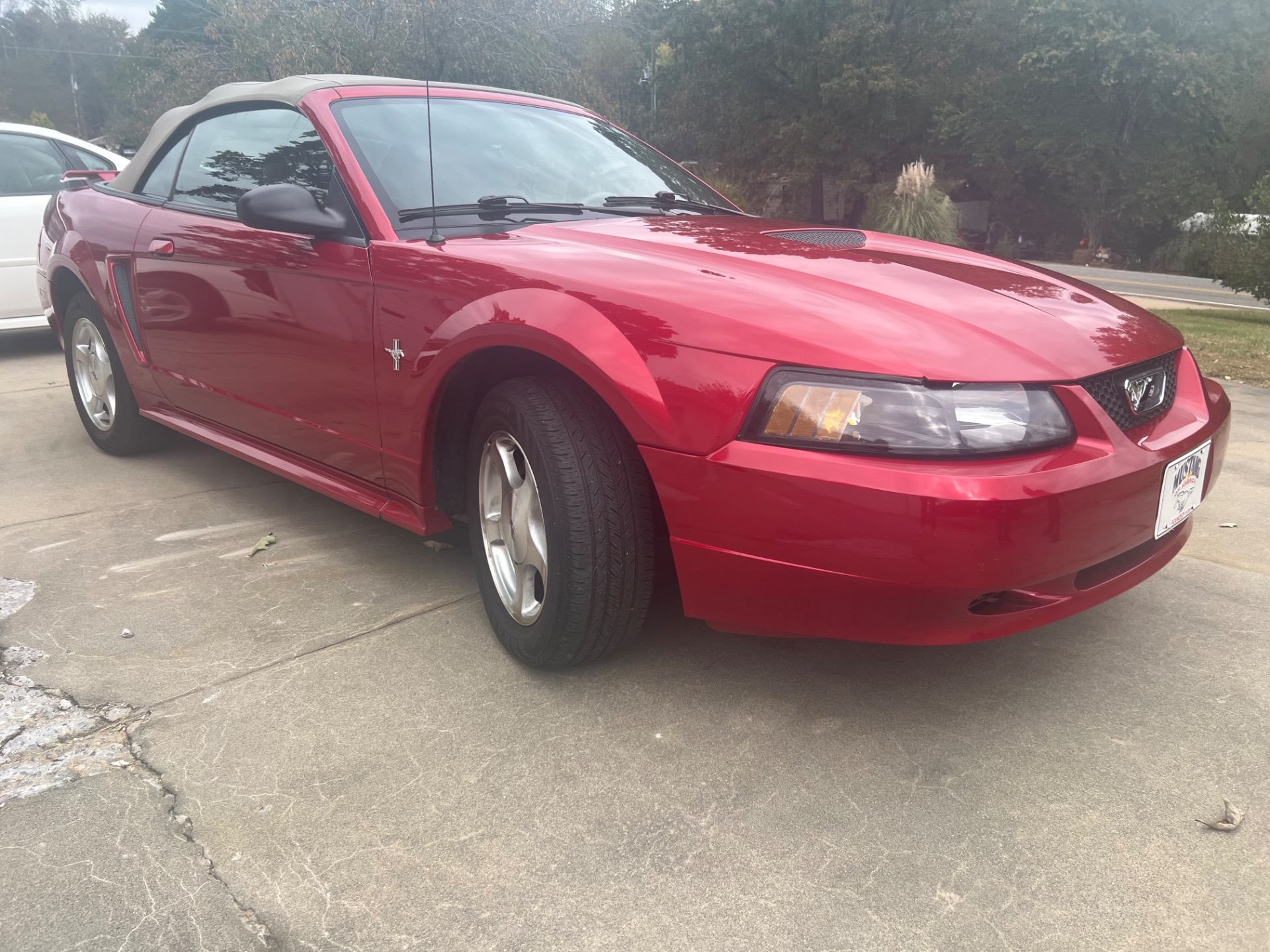 Used 2001 Ford Mustang Convertible