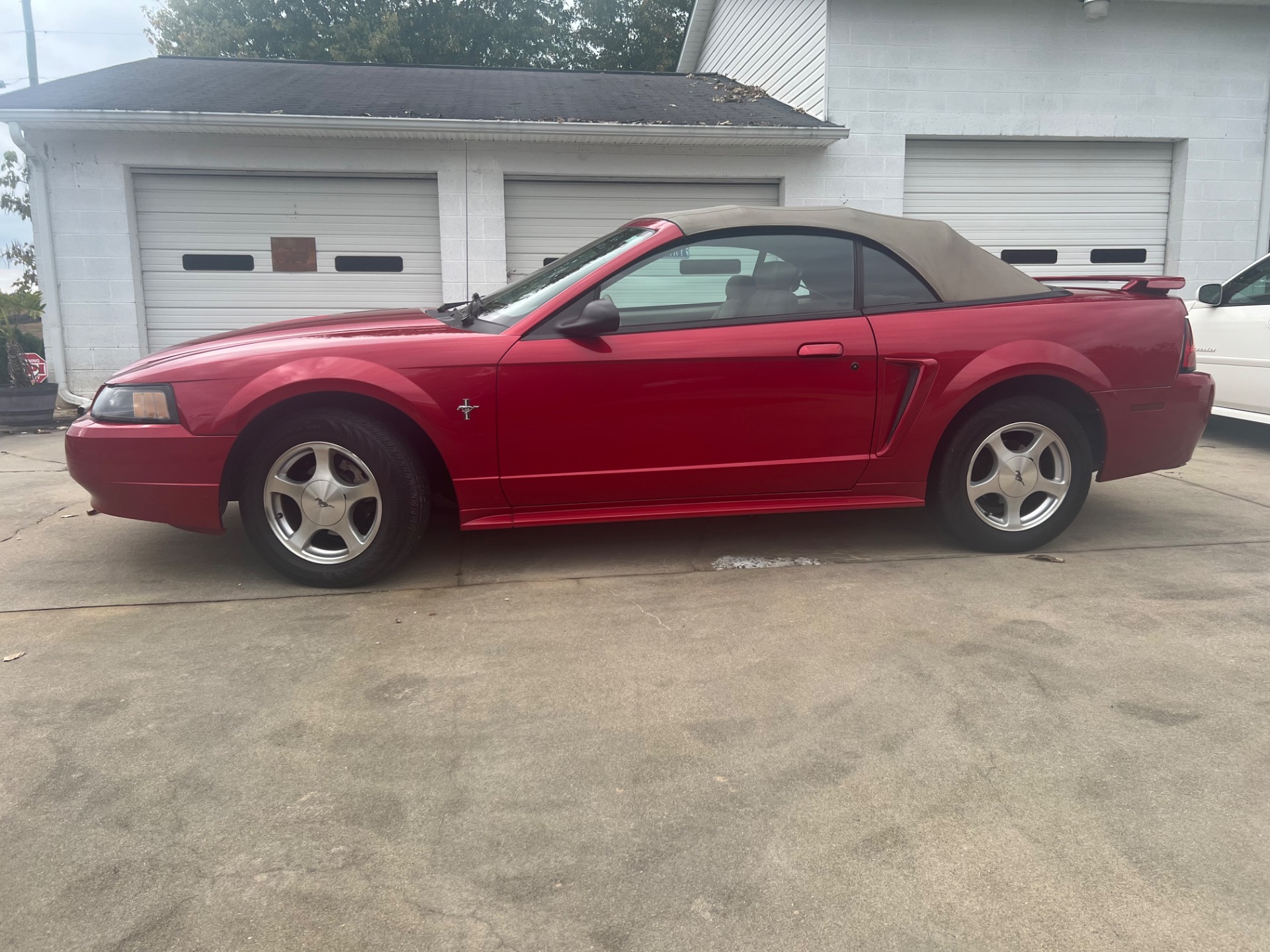 Used 2001 Ford Mustang Convertible  304 , For Sale $17500, Call Us: (704) 996-3735