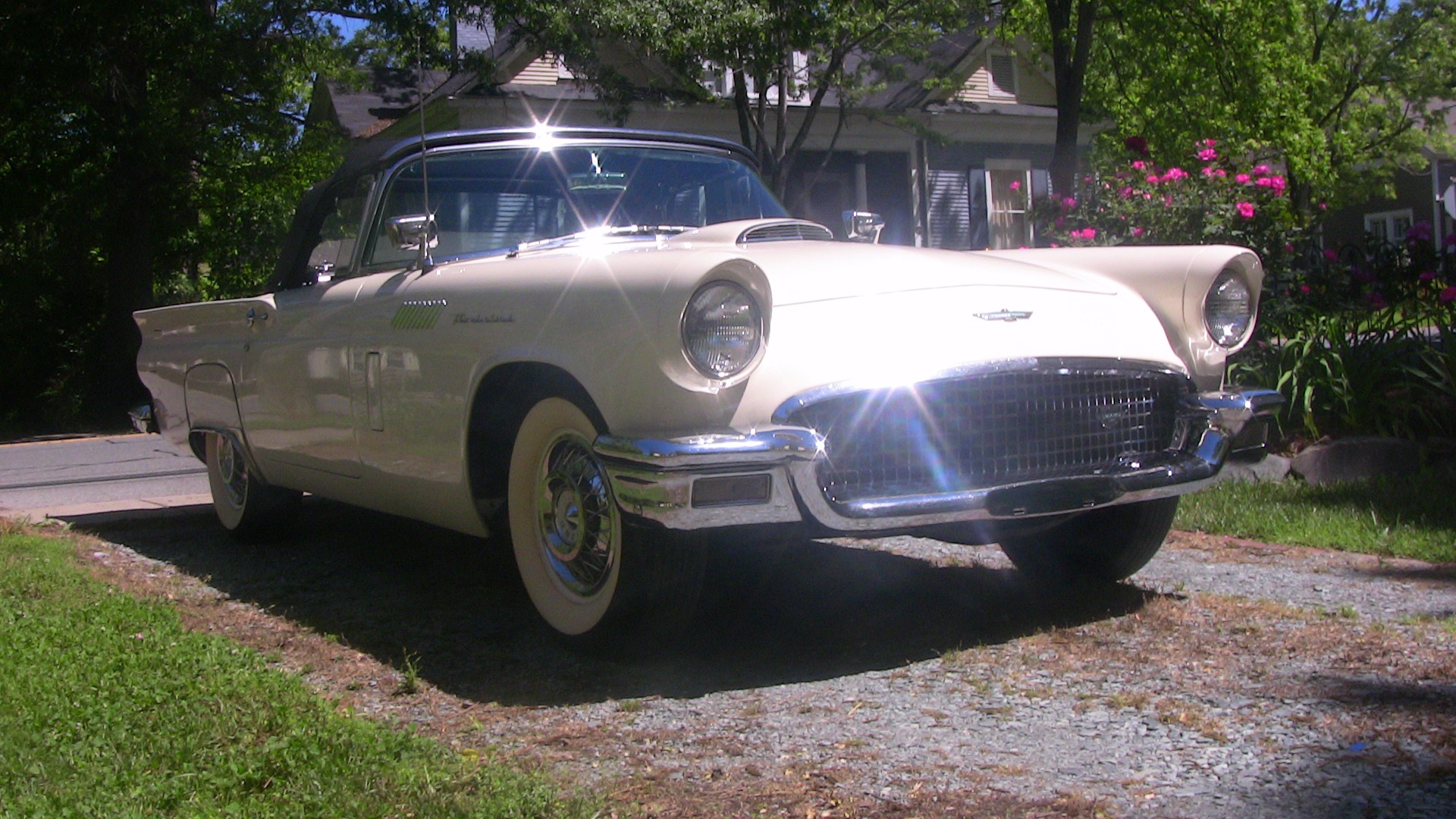 Used 1957 Ford Thunderbird