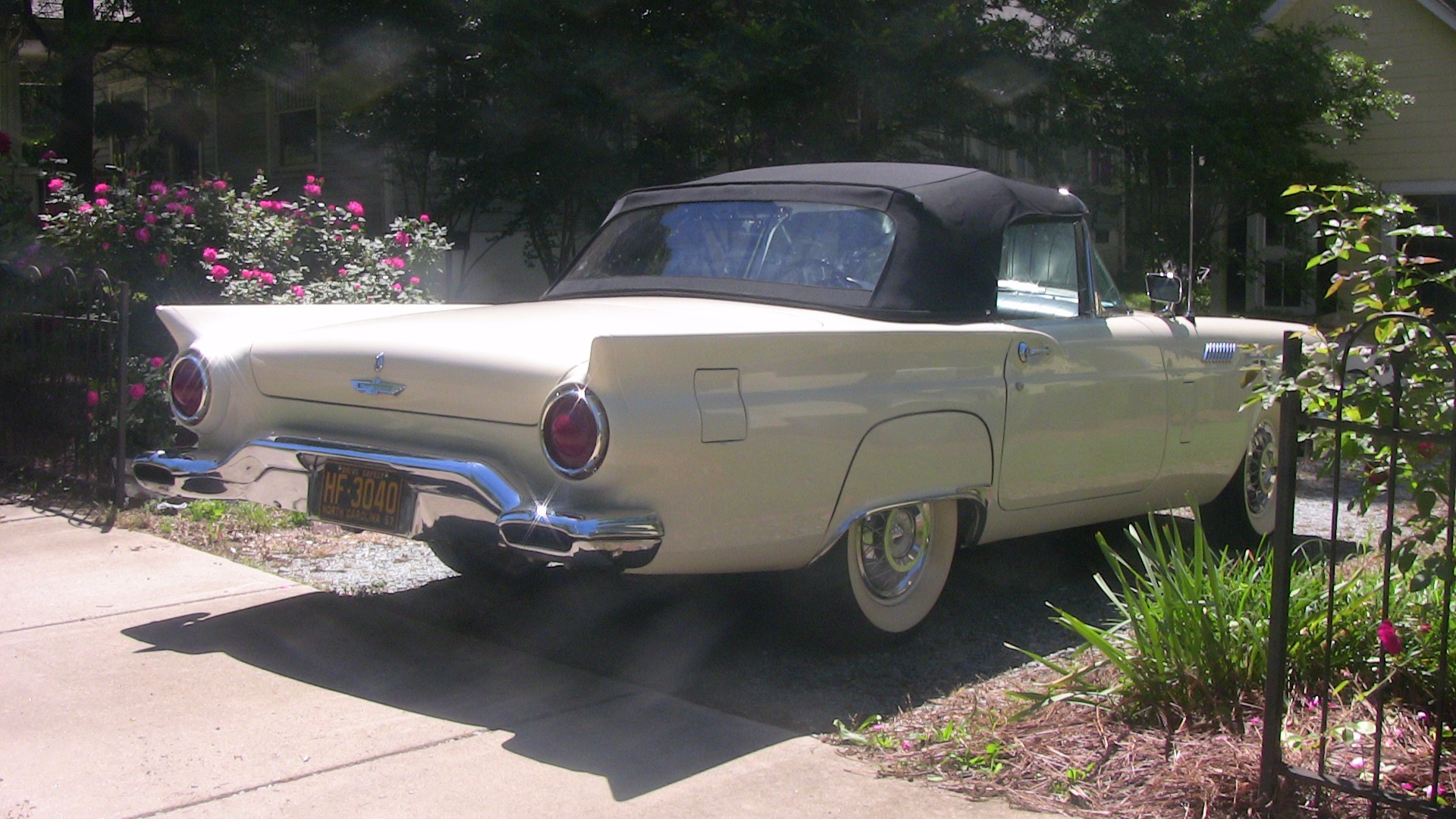 Used 1957 Ford Thunderbird